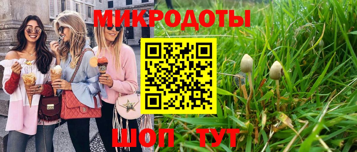 Псилоцибиновые грибы мицелий Баксан